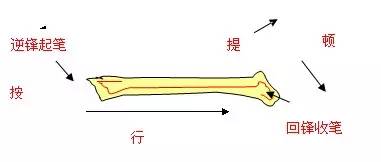 毛笔字体入门基础教程字帖