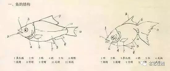 每日一学——国画技法：写意鱼的绘画技法