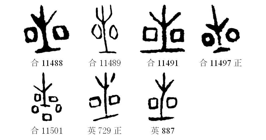 甲骨文每周识字（25）｜星、火